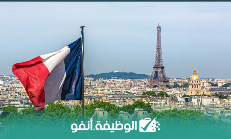 Alwadifa info Plus de 30 Opportunités d’emploi chez The Delivery Company GLS en France