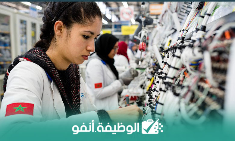 Alwadifa info وكالة الأنابيك تعلن عن حملة توظيف 750 عامل وعاملة الكابلاج في عدة مدن و براتب ممتاز