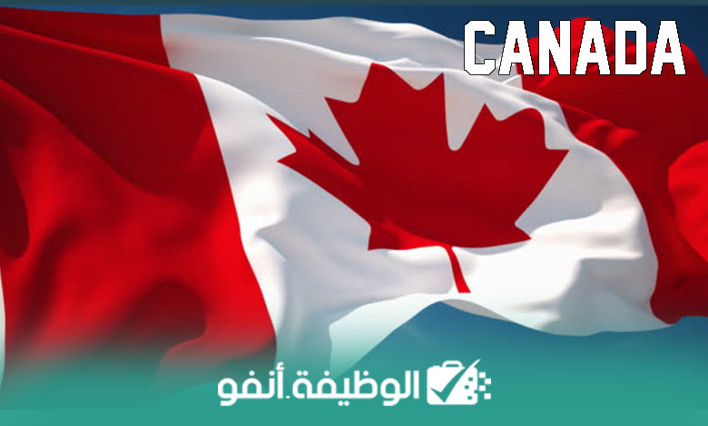 Alwadifa info Opportunités d’emploi au Canada pour les Arabes en tant que réparateurs d’appareils électroniques