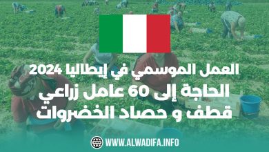 Alwadifa info 60 وظيفة زراعية متاحة الآن في إيطاليا انطلق نحو مستقبل مهني مشرق