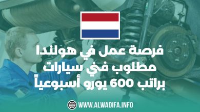 Alwadifa info العمل في هولندا مطلوب فني سيارات براتب 600 يورو أسبوعياً