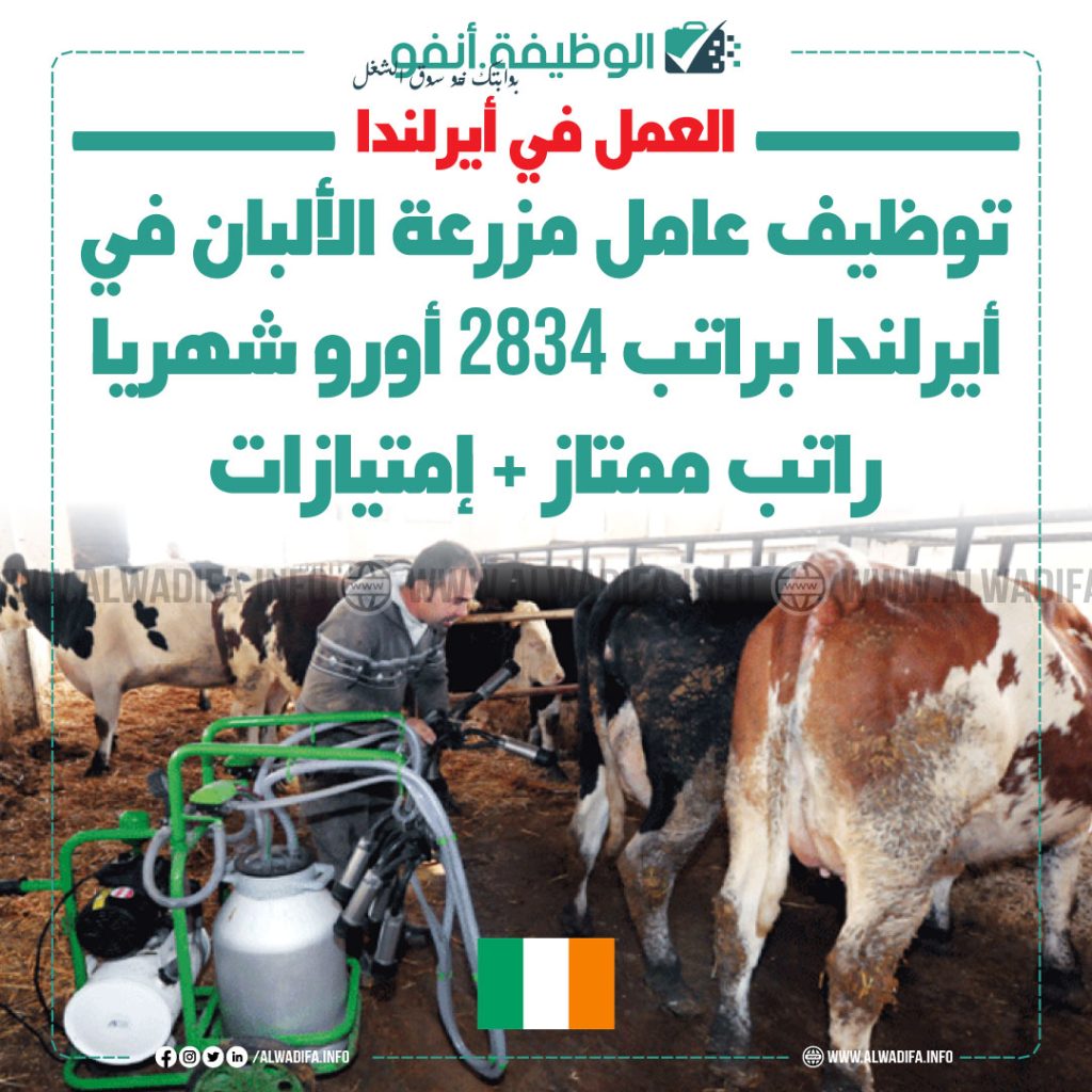 فرص-عمل-أيرلندا