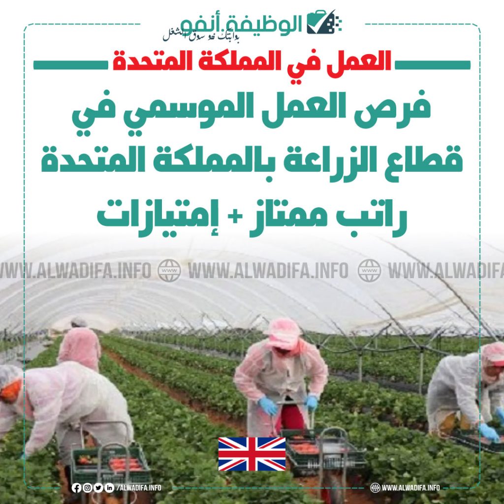 توظيف-موسمي-فرص-عمل-زراعة-المملكة-المتحدة