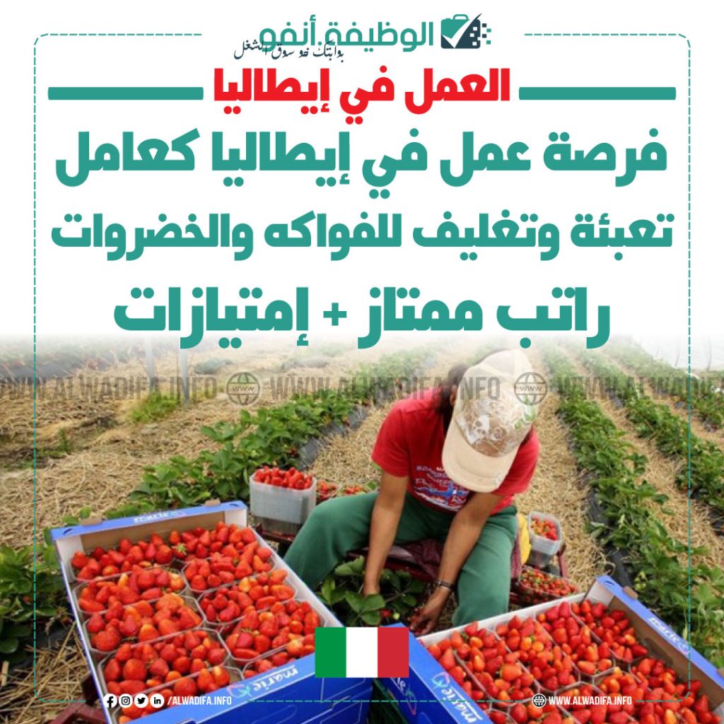 فرص-عمل-إيطالية-صناعة-تعبئة-تغليف