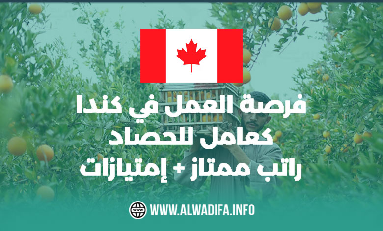 العمل كعامل حصاد في كندا عام 2024 فرص مثيرة تنتظرك