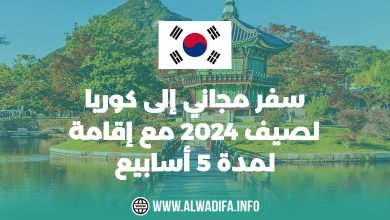 فرصة استثنائية سفر مجاني إلى كوريا لصيف 2024 مع إقامة لمدة 5 أسابيع