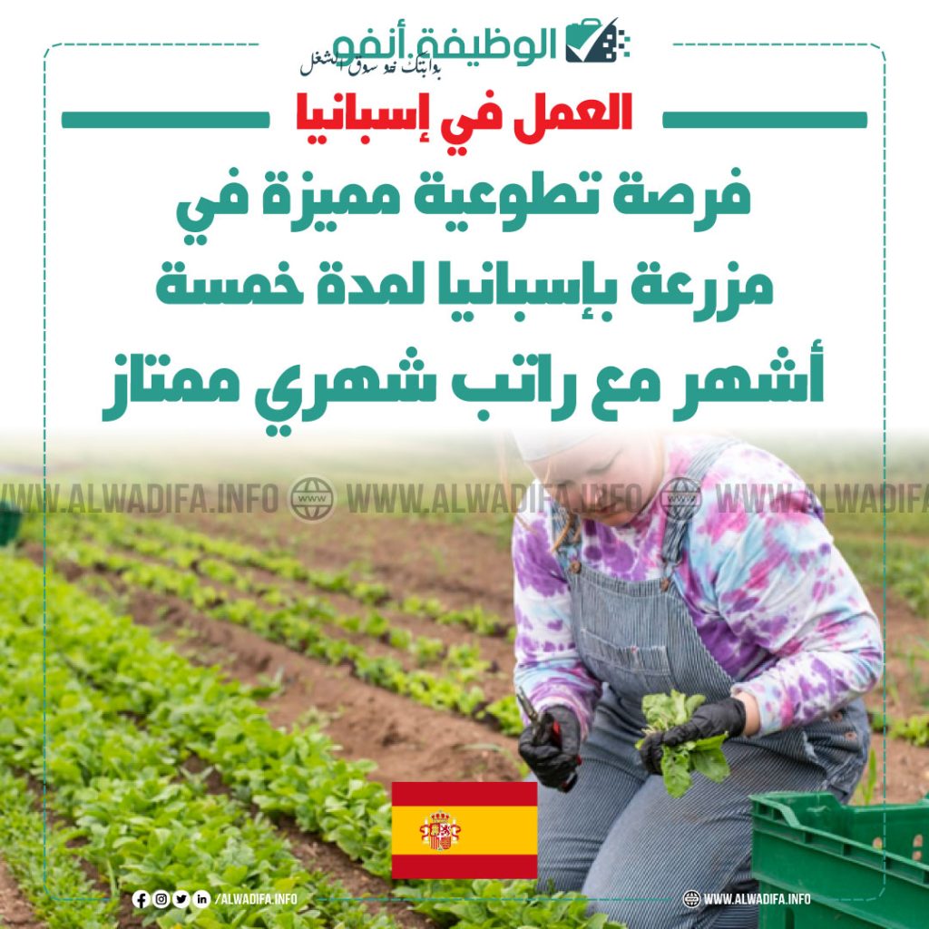 فرصة عمل في مزرعة في اسبانيا