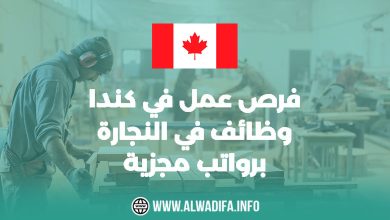 وظائف نجارة في كندا 2025 – فرص مميزة بانتظارك!